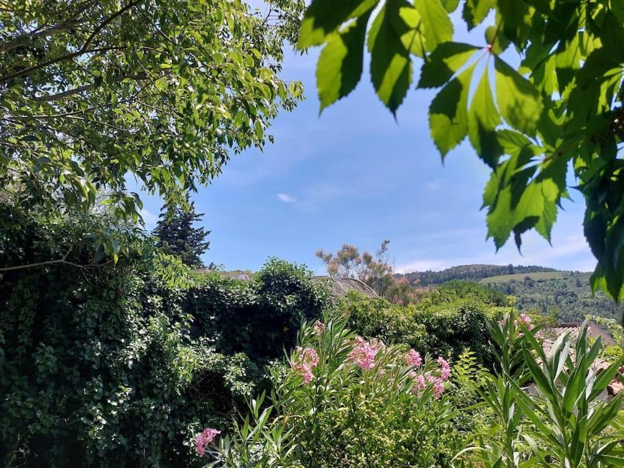 Vue De Rennes-Le-Chateau Couiza المظهر الخارجي الصورة